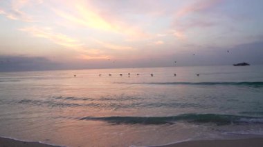 Martılar deniz suyunun üzerinde, güneş ve ağır çekimde gemi silueti ile uçuyorlar.