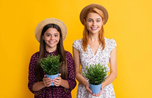 Madre e hija sonríen con planta en maceta sobre fondo amarillo — Foto de Stock