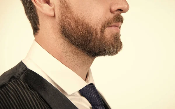 Уход за волосами и бородой. формальный бизнесмен изолирован на белом. — стоковое фото