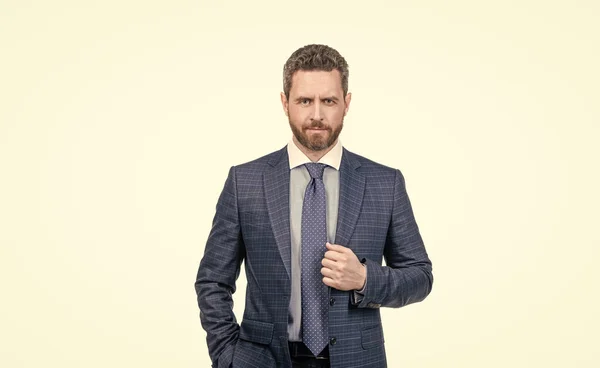 Gentleman of style. Bearded man wear suit isolated on white. Gentlemens fashion. Gentlemens tailor — Zdjęcie stockowe