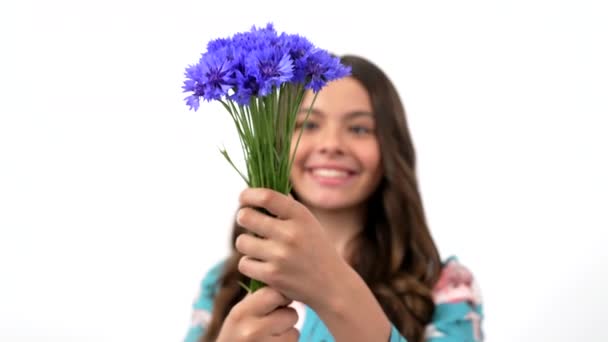 Kytice v rukou veselého dítěte dlouhé vlasy vonící kentaurea, květiny. — Stock video
