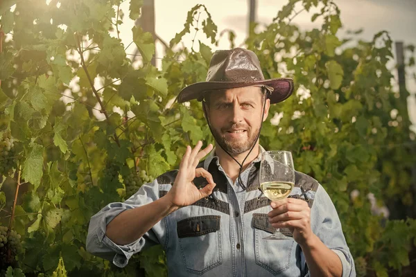 sommelier. farmer drink wine. cheers. vinedresser drinking. male vineyard owner.