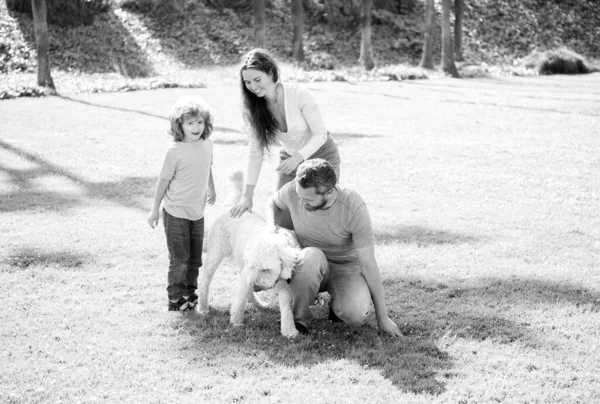 Glückliche Familie von Mutter Papa und Kind Sohn spielen mit Hund im Sommer Park grünes Gras, entspannen — Stockfoto