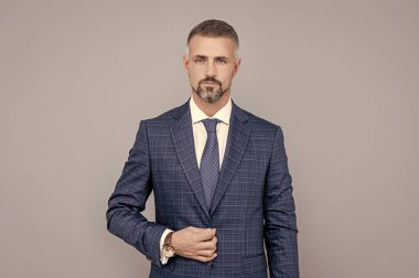 Takım elbiseli kendine güvenen bir işadamı, başarılı.