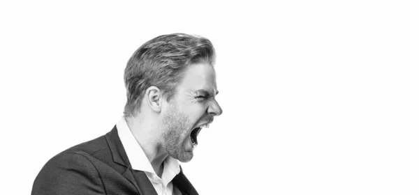 Rugido de raiva. O empresário grita de raiva. Gerente irritado side-face isolado em branco — Fotografia de Stock