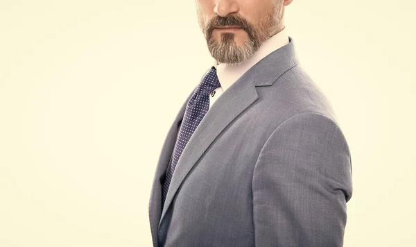 Cèpe barbu avec moustache. patron confiant avec les cheveux gris. espace de copie. — Photo
