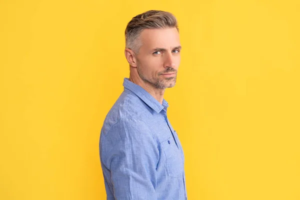 Serious man with gray beard. hair and beard care. male fashion model on yellow background. — 스톡 사진