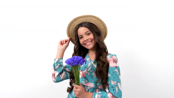 Cheerful child in summer straw hat hold wildflower flower bouquet smell centaurea, beauty. — Stock video