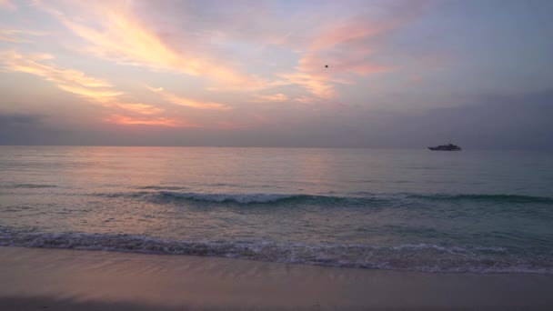 Vacker havsutsikt med fåglar som flyger i soluppgång himmel och fartyg på horisonten, semester — Stockvideo