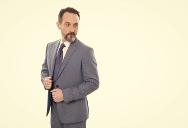 Girişimci ya da yönetici. Erkek resmi moda. Profesyonel boz yönetim kurulu başkanı. Kendinden emin patron