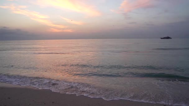 Playa de la mañana en el cielo del amanecer con gaviotas y barco, paisaje nublado — Vídeo de stock