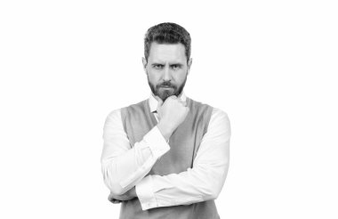 Erkek güzelliği. Boz adam portresi. Sakallı, olgun, zarif bir adam..