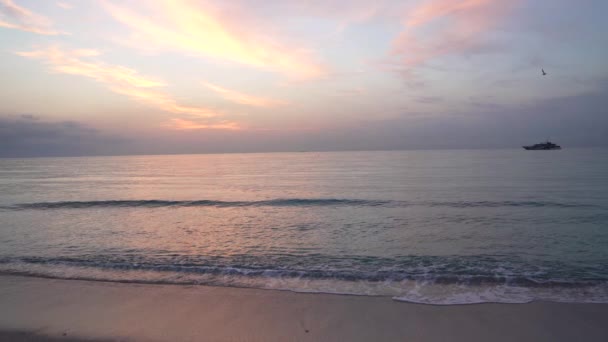 Утренний пляж на восходе солнца небо с чаек и корабль, лето — стоковое видео