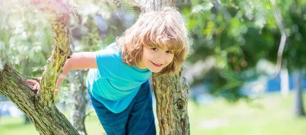 Climbing trees is always fun. Active boy child climb tree. Childhood fun. Summer activities. Horizontal poster design. Web banner header, copy space