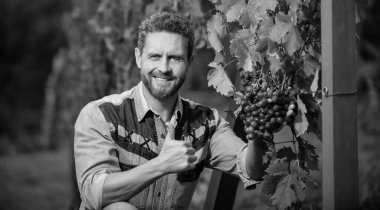 Üzüm çiftliğinde asma bakımı yapan mutlu bir çiftçi. Baş parmağını gösteriyor. Mükemmel kalite..