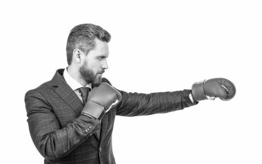 Yumruk. Başarılı CEO boksörü. Acımasız mücadele ve başarı. Kendine güvenen adam şirket savaşına hazır. İşletme nakavtı. Patron güç ve otorite göster. Boks eldivenli iş adamı.