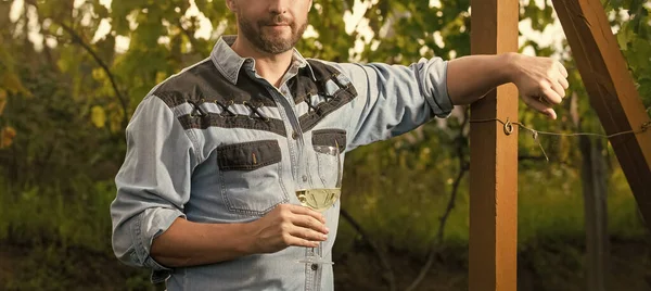 cropped enologist man relax with wine glass at winery outdoor, winegrower.