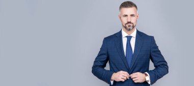 mature ambitious man businessman in businesslike suit has grizzled hair, business success. Man face portrait, banner with copy space