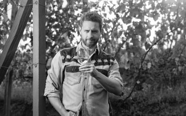 Karizmatik olgun enolojist adam şarap kadehini açık havada, şarap üreticisinde tutuyor..