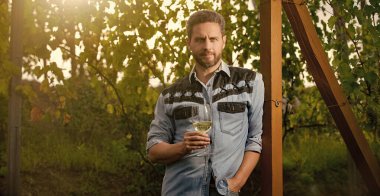 Erkek üzüm bağı sahibi. Üzüm çiftliğinde profesyonel şarap üreticisi. Şarap kadehli sakallı adam. Şarap kadehli bir oenolog. Şarap garsonu. Çiftçi şarap içer. Şerefe! Vinedresser içiyor..