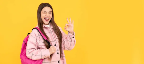 Щаслива Дівчинка Рожевій Картатій Сорочці Носить Шкільний Рюкзак Гаразд Банер — стокове фото