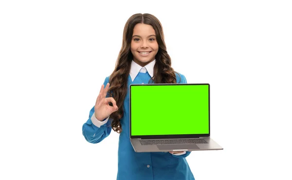 Cheerful Child Presenting Product School Blog Computer Kid Video Lesson — Zdjęcie stockowe