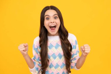 Heyecanlı bir yüz. Genç çocuk çok mutlu ve başarılı. Kazanan el hareketi yapar. Yumruğunu sık ve sarı arka plan stüdyosunda izole edilmiş olarak evet de. Şaşırtıcı bir ifade, neşeli ve mutlu.