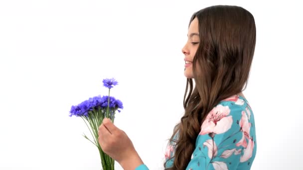 Cheerful Child Long Hair Hold Wildflower Flower Bouquet Smell Centaurea — 비디오