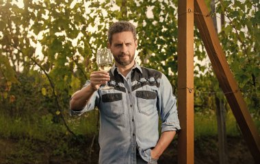 Şerefe! Vinedresser içiyor. Erkek üzüm bağı sahibi. Üzüm çiftliğinde profesyonel şarap üreticisi. Şarap kadehli olgun bir adam. Şarap kadehli bir enolog. Şarap garsonu. Çiftçi şarap içer.