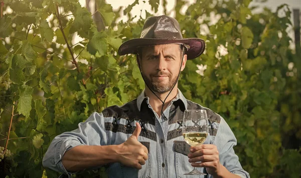 farmer drink wine. cheers. vinedresser drinking. male vineyard owner. professional winegrower on grape farm. bearded man in hat with wine glass. thumb up. enologist with wineglass. sommelier.