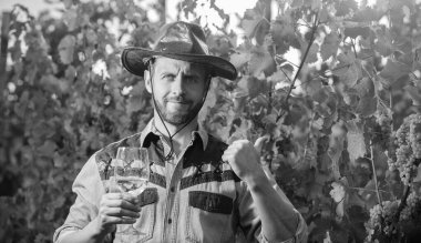 Şerefe! Vinedresser içiyor. Erkek üzüm bağı sahibi. Profesyonel şarap üreticisi üzüm çiftliği. Şapkalı, şarap kadehli sakallı adam. Şarap kadehli bir enolog. Şarap garsonu. Çiftçi şarap içer.