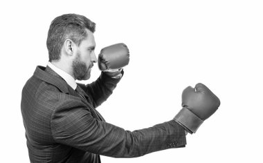 Takım elbiseli ve boks eldivenli kendine güvenen bir işadamı beyaz, boksör.