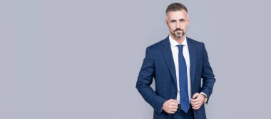 mature ambitious man businessman in businesslike suit has grizzled hair, business executive. Man face portrait, banner with copy space