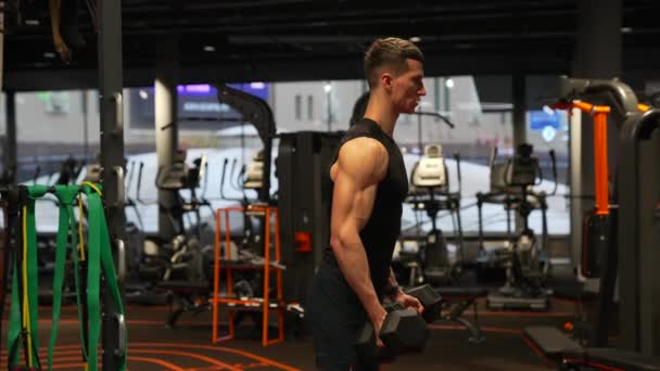 Bodybuilder Man Doing Dumbbell Bicep Tricep Curls Workout Gym Bodybuilding — Stockvideo