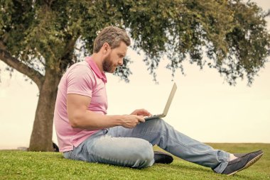 concentrated businessman using laptop for blogging on green grass, work online.