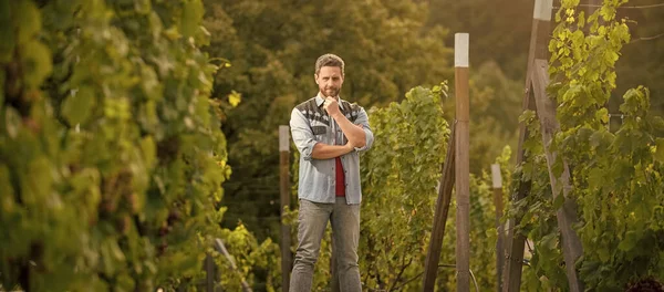 handsome bearded farmer in vineyard farm, wine business.