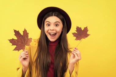 teen girl in hat hold autumn leaf. amazed child having fun with maple leaf on yellow background. autumn nature. childhood happiness. natural beauty. fall season fashion.
