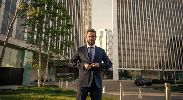 Business Success Successful Man Businesslike Suit Entrepreneur Office Male Formal — Fotografia de Stock