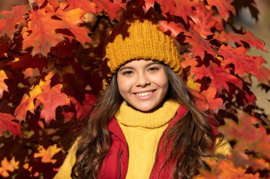 positive child in hat standing at autumn leaves.