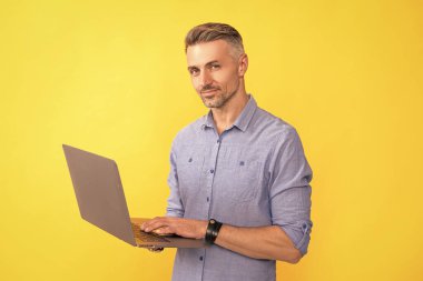 Sarı arka planda dizüstü bilgisayarda çalışan yetişkin adam, girişimci.