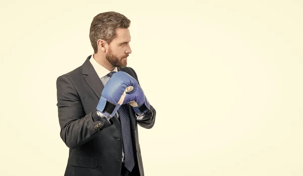 Fight way in business. Professional man in boxing position. Serious businessman in boxing gloves. Fighting manager isolated on white. Ready to fight, copy space.