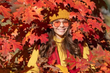 Teen child girl on autumn fall leaves background. smiling kid in sunglasses at autumn leaves on natural background.