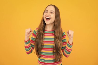 Genç çocuk çok mutlu ve başarılı. Kazanan el hareketi yapar. Yumruğunu sık ve sarı arka plan stüdyosunda izole edilmiş olarak evet de. Heyecanlı bir yüz, neşeli genç bir kız.