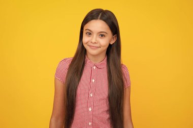 Güzel genç kız öğrenci. Tecrit edilmiş bir arka planda genç bir kızın portresi. Zeki liseli kız, zeki inek çocuk.