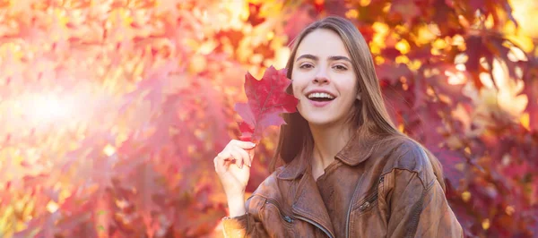 Glückliche Frau Mit Herbstlichen Bunten Blättern Vogelbeerbaum Portrait Herbst Frauenbanner — Stockfoto