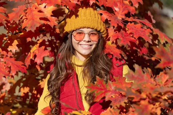 Teenager girl on autumn fall background. cheerful kid in sunglasses at autumn leaves on natural background.