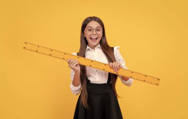 Mutlu matematik. Genç kız cetvel tutuyor. Okula dönüyorum. Cebir ve geometri. Matematik dersi alan bir çocuk. Boyutunu ölçün. Trigonometri kırtasiyesi. Ölçme ve ölçme. çocuk eğitimi.