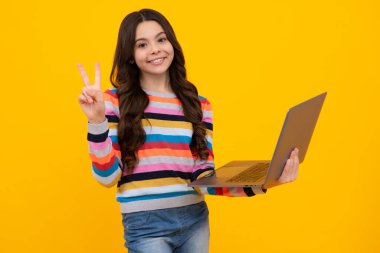 Liseli kız dizüstü bilgisayar tutuyor. Tecrit edilmiş stüdyo geçmişi olan okul çocukları. Mutlu ergen, pozitif ve gülümseyen liseli kız duyguları