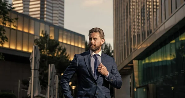 business success. successful man in businesslike suit. manager executive outside the office. male formal fashion. confident bearded boss. bearded businessman in formalwear.