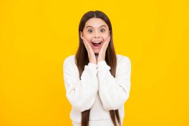 Heyecanlı bir yüz. Şaşırtıcı bir ifade, neşeli ve mutlu. Stüdyonun arka planında izole edilmiş genç bir kızın portresi. Çocukluk yaşam tarzı konsepti. Kopyalama alanı oluştur